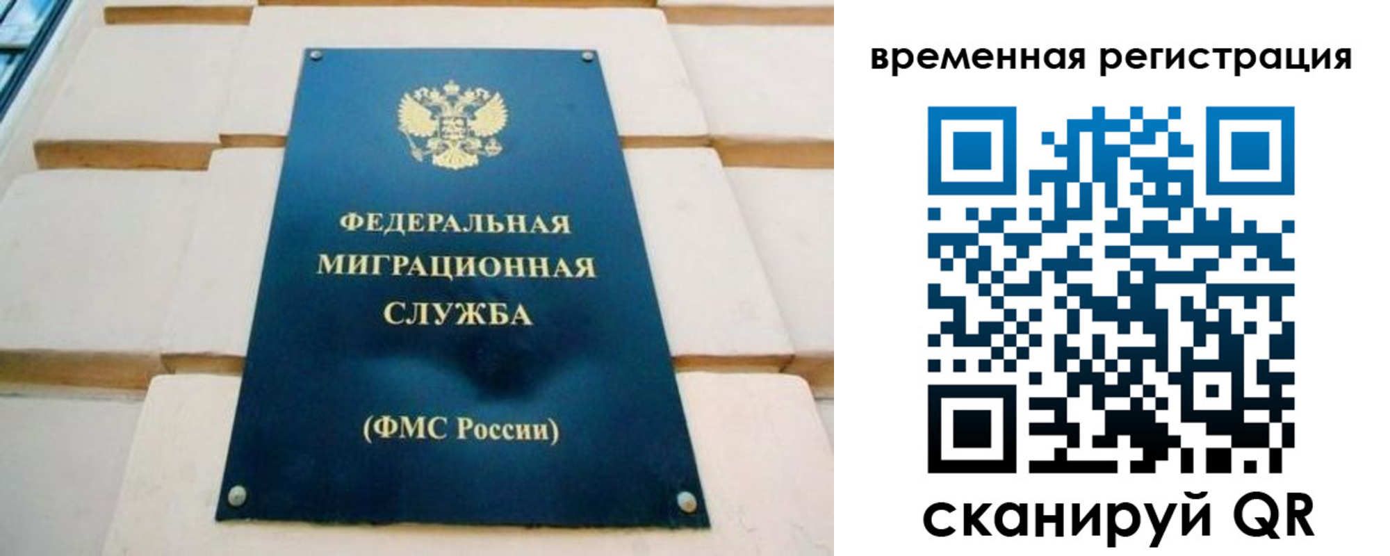 прописка гарантия в Апатитах